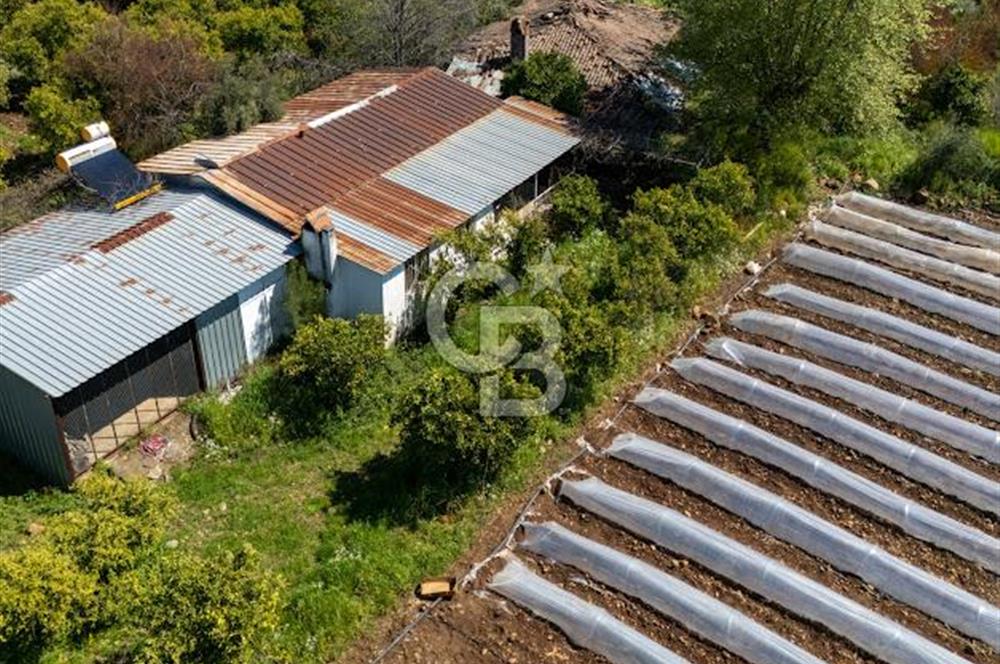 MUĞLA KÖYCEĞIZ YEŞİLKÖY'DE SATILIK TARLA İÇINDE KARGİR EV