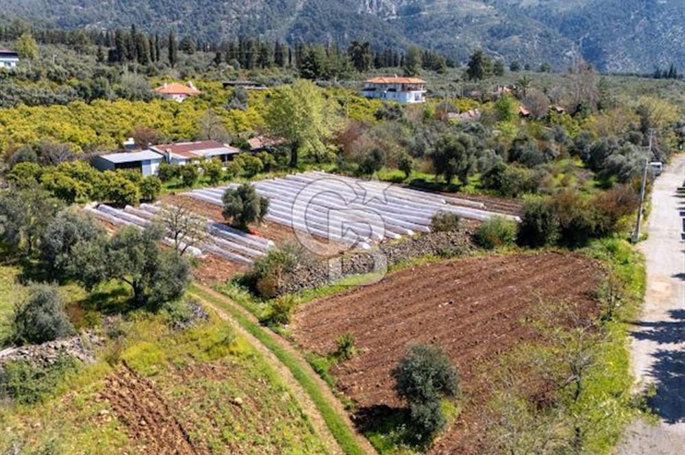 MUĞLA KÖYCEĞIZ YEŞİLKÖY'DE SATILIK TARLA İÇINDE KARGİR EV
