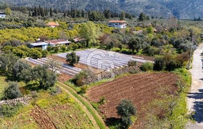 MUĞLA KÖYCEĞIZ YEŞİLKÖY'DE SATILIK TARLA İÇINDE KARGİR EV