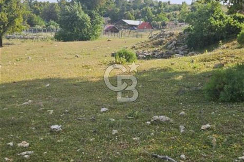 CB GİZ'DEN KAŞ AKÖRÜ'DE SATILIK TARLA