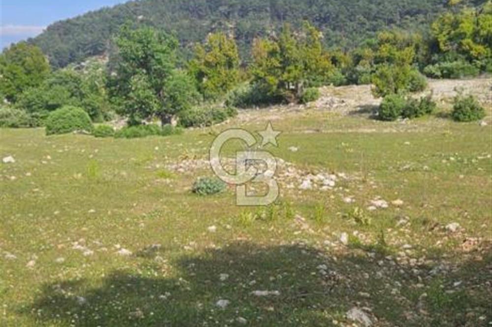 CB GİZ'DEN KAŞ AKÖRÜ'DE SATILIK TARLA