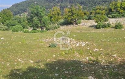 CB GİZ'DEN KAŞ AKÖRÜ'DE SATILIK TARLA