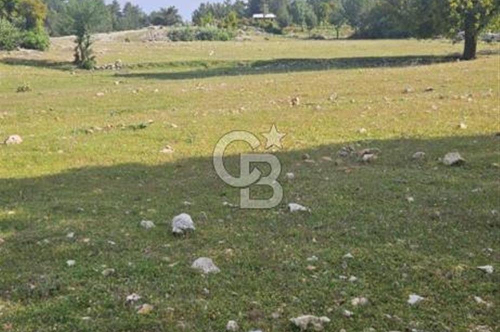 CB GİZ'DEN KAŞ AKÖRÜ'DE SATILIK TARLA