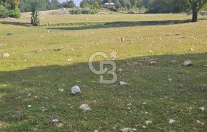 CB GİZ'DEN KAŞ AKÖRÜ'DE SATILIK TARLA