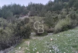 CB GİZ'DEN KUMLUCA KARACAÖREN'DE SATILIK TARLA - 7 - 341406