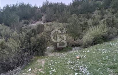 CB GİZ'DEN KUMLUCA KARACAÖREN'DE SATILIK TARLA