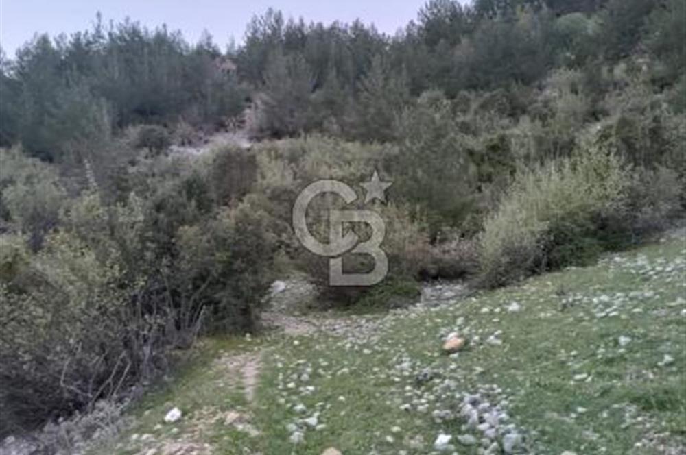 CB GİZ'DEN KUMLUCA KARACAÖREN'DE SATILIK TARLA