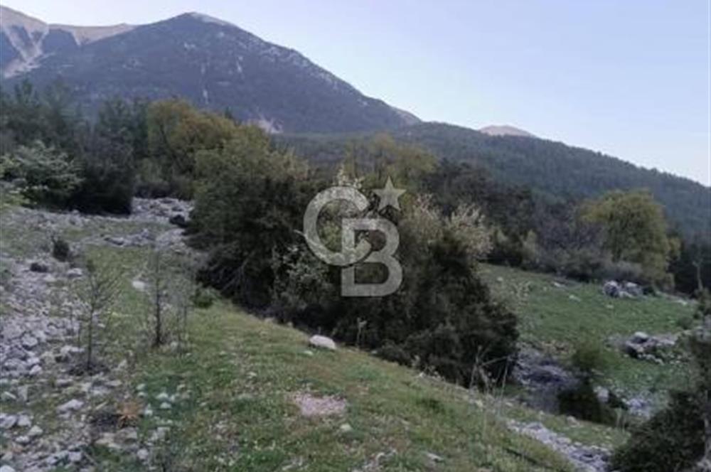 CB GİZ'DEN KUMLUCA KARACAÖREN'DE SATILIK TARLA