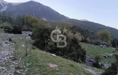 CB GİZ'DEN KUMLUCA KARACAÖREN'DE SATILIK TARLA