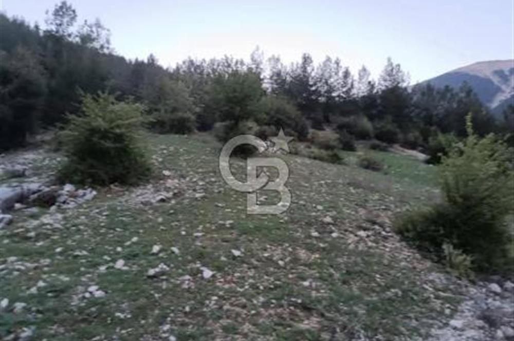 CB GİZ'DEN KUMLUCA KARACAÖREN'DE SATILIK TARLA