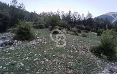 CB GİZ'DEN KUMLUCA KARACAÖREN'DE SATILIK TARLA