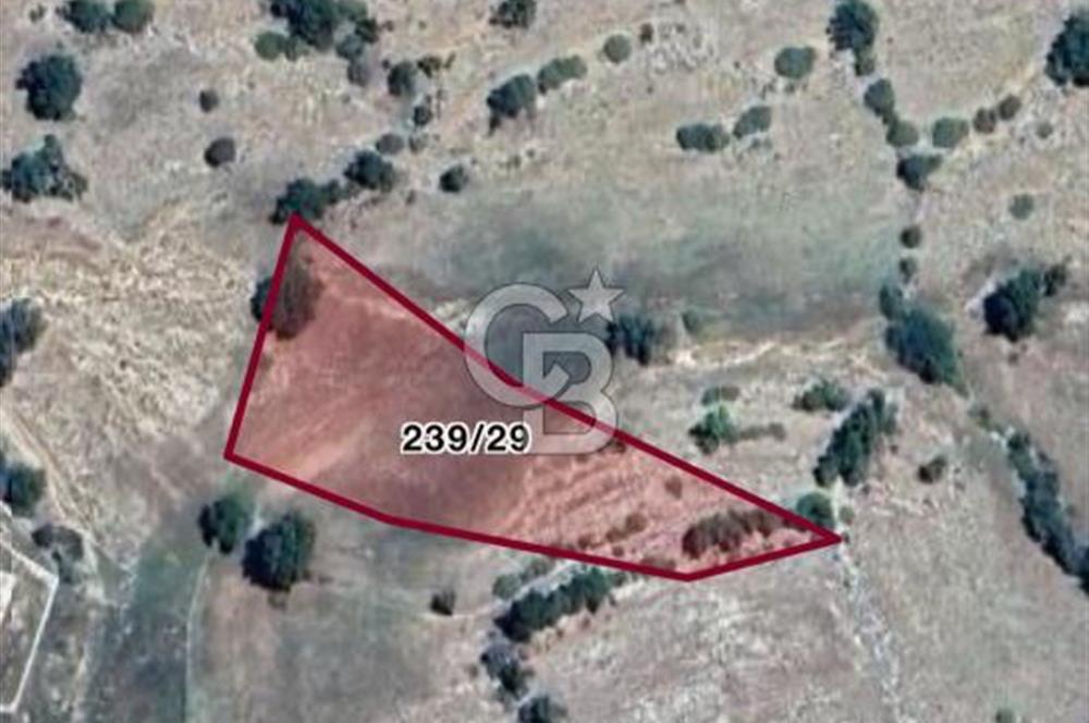 CB GİZ'DEN KAŞ AKÖRÜ'DE SATILIK TARLA