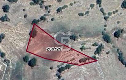 CB GİZ'DEN KAŞ AKÖRÜ'DE SATILIK TARLA