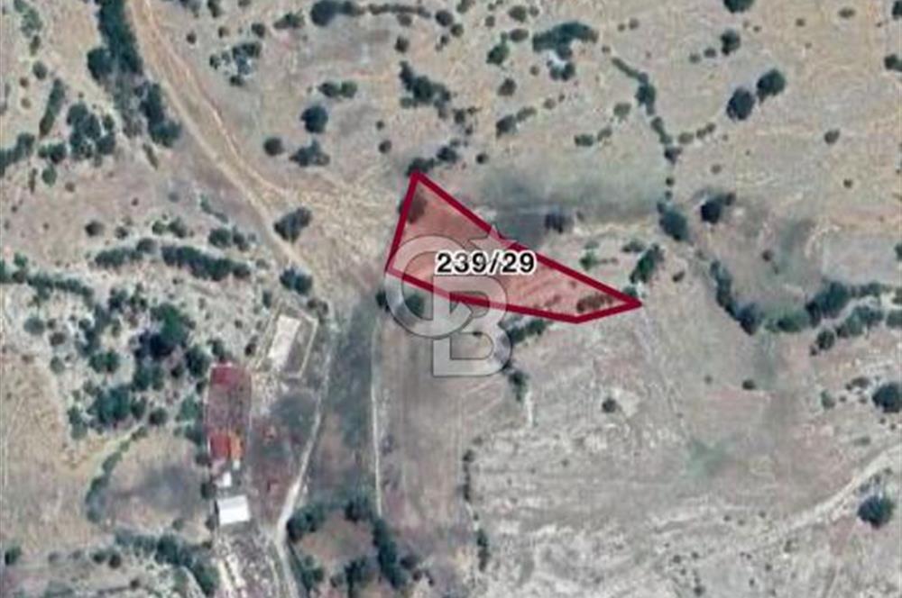 CB GİZ'DEN KAŞ AKÖRÜ'DE SATILIK TARLA