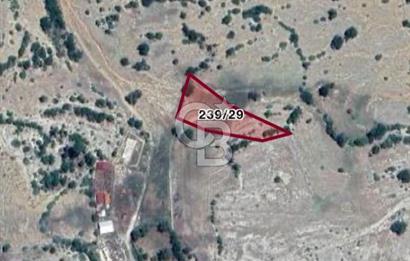 CB GİZ'DEN KAŞ AKÖRÜ'DE SATILIK TARLA