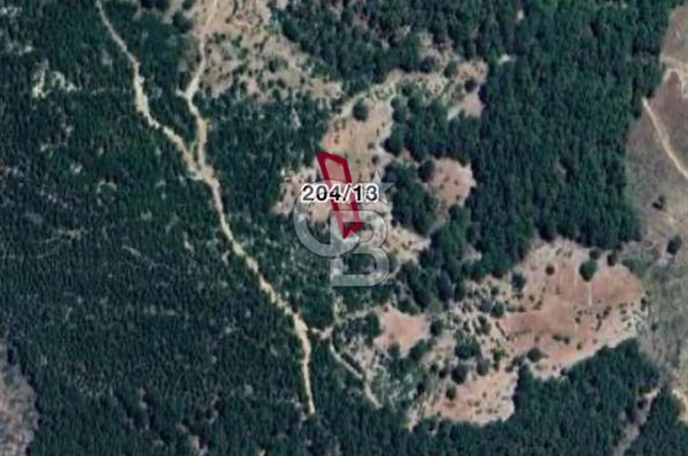 CB GİZ'DEN KUMLUCA KARACAÖREN'DE SATILIK TARLA