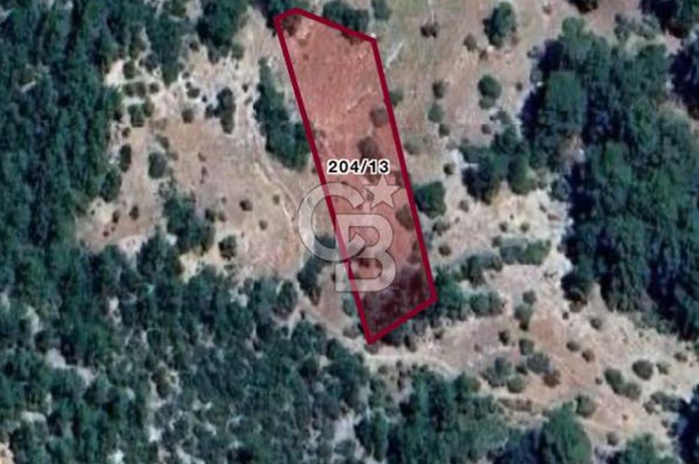 CB GİZ'DEN KUMLUCA KARACAÖREN'DE SATILIK TARLA