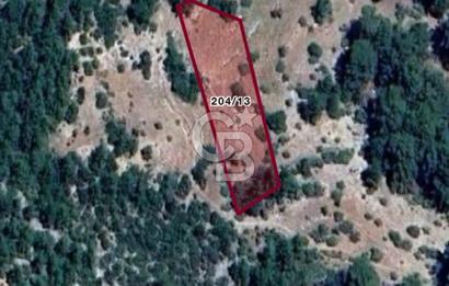 CB GİZ'DEN KUMLUCA KARACAÖREN'DE SATILIK TARLA