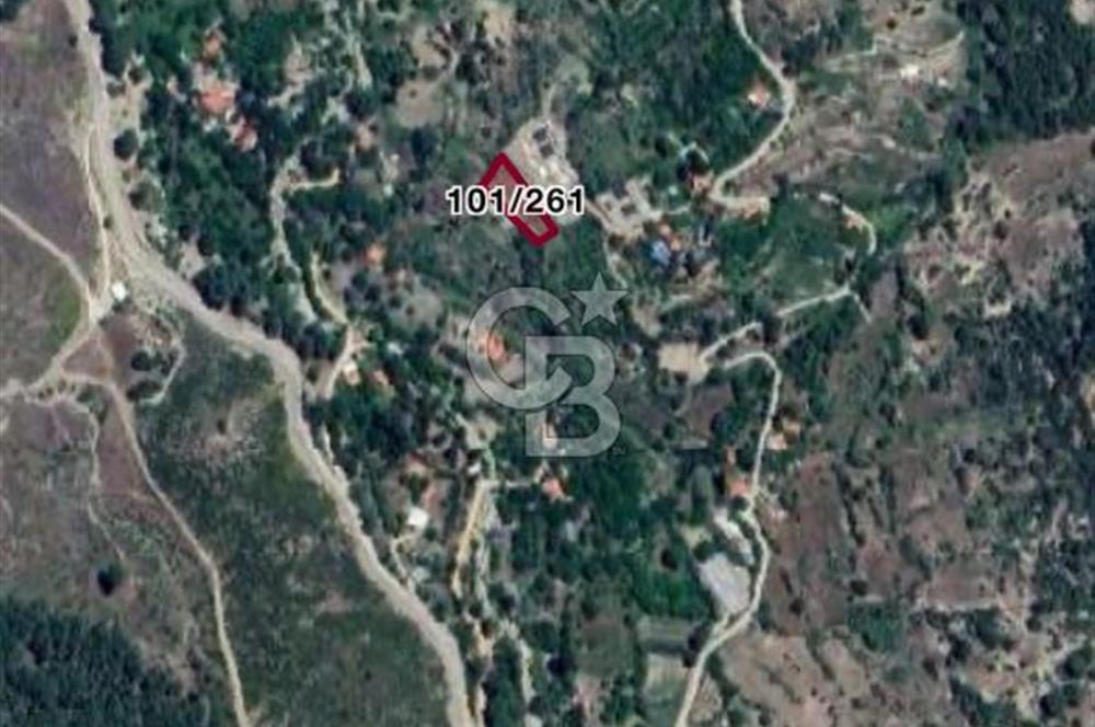 CB GİZ'DEN KAŞ YUVACIK'DA SATILIK TARLA