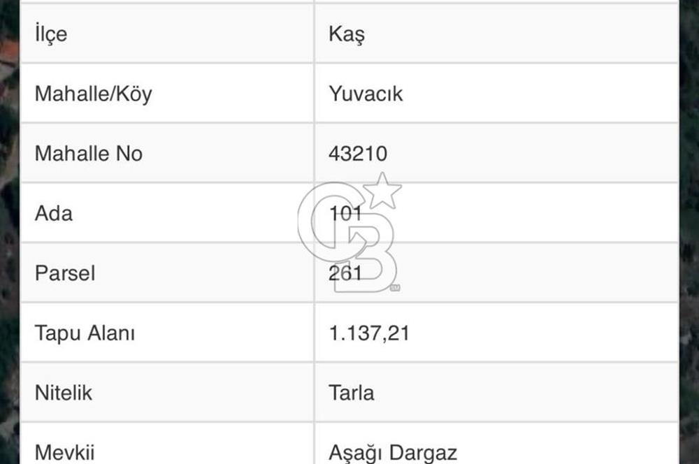 CB GİZ'DEN KAŞ YUVACIK'DA SATILIK TARLA