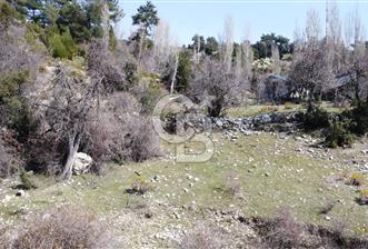 CB GİZ'DEN KAŞ YAYLA ÇAVDIR'DA SATILIK 3973 M2 TARLA - 5 - 341412