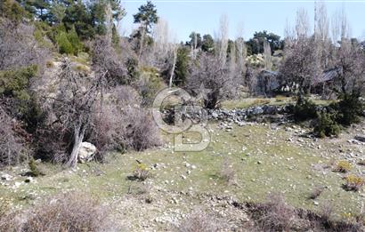 CB GİZ'DEN KAŞ YAYLA ÇAVDIR'DA SATILIK 3973 M2 TARLA