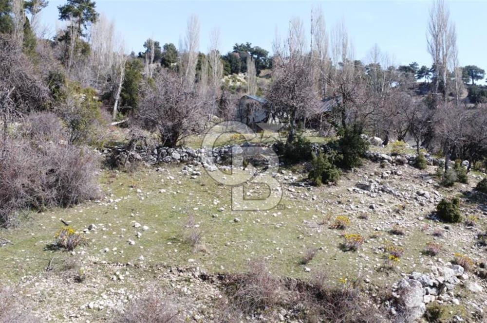 CB GİZ'DEN KAŞ YAYLA ÇAVDIR'DA SATILIK 3973 M2 TARLA