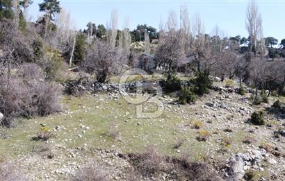 CB GİZ'DEN KAŞ YAYLA ÇAVDIR'DA SATILIK 3973 M2 TARLA