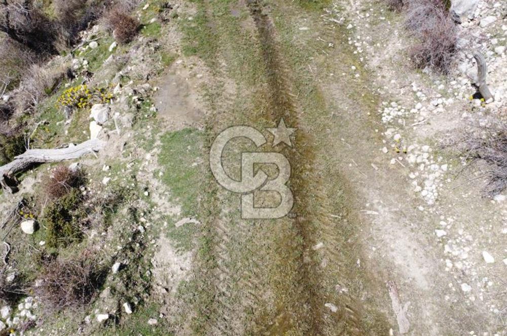 CB GİZ'DEN KAŞ YAYLA ÇAVDIR'DA SATILIK 3973 M2 TARLA