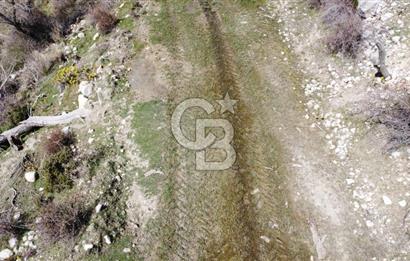 CB GİZ'DEN KAŞ YAYLA ÇAVDIR'DA SATILIK 3973 M2 TARLA