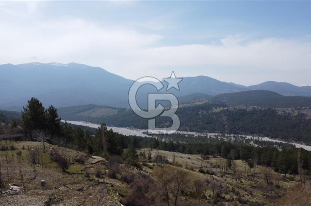 CB GİZ'DEN KAŞ YAYLA ÇAVDIR'DA SATILIK 3973 M2 TARLA