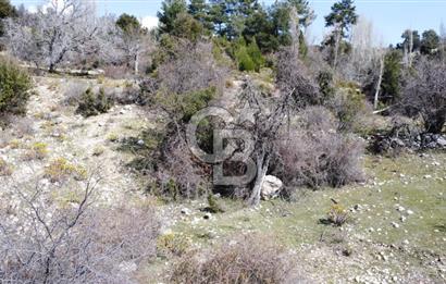 CB GİZ'DEN KAŞ YAYLA ÇAVDIR'DA SATILIK 3512 M2 TARLA