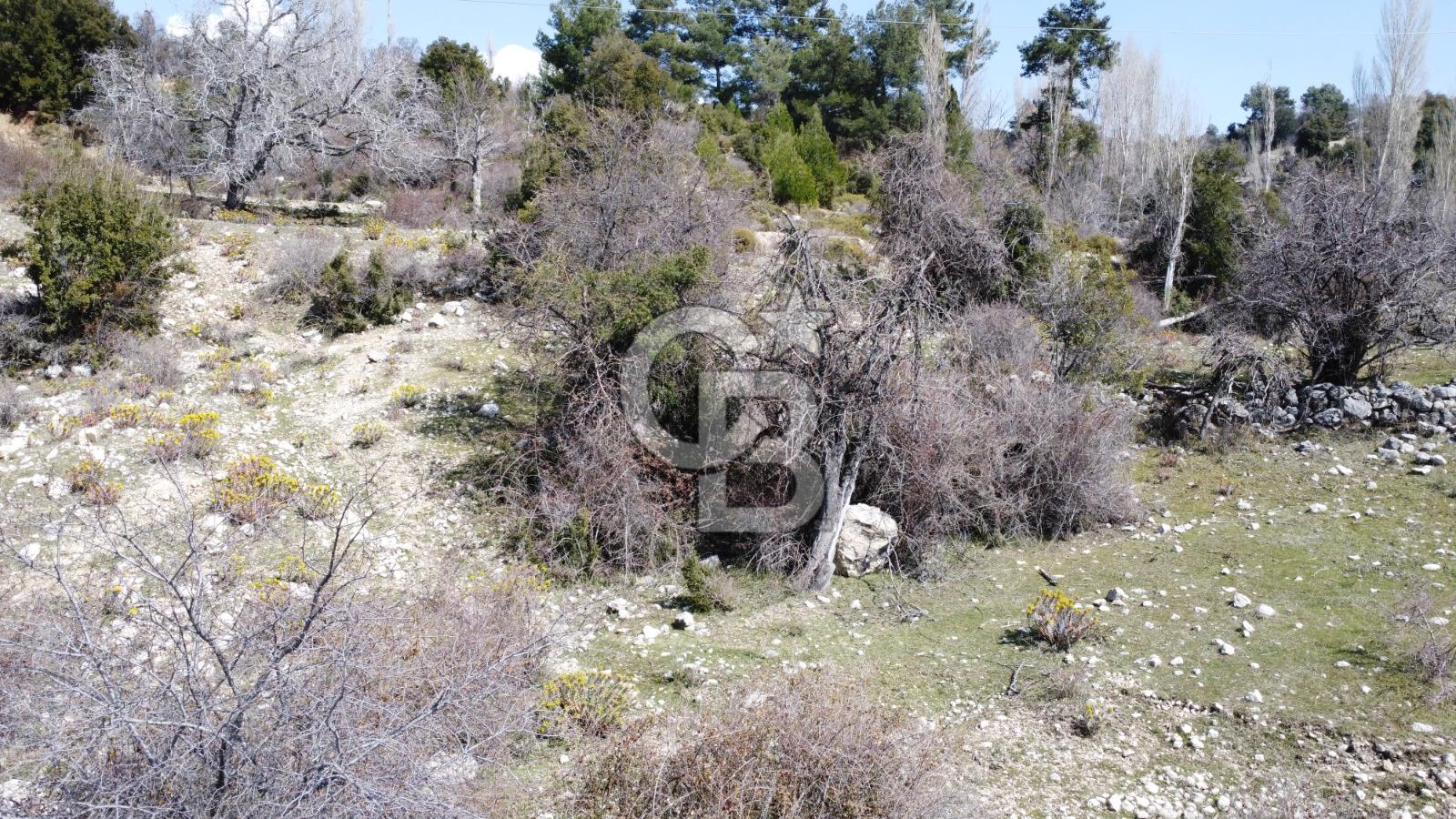 CB GİZ'DEN KAŞ YAYLA ÇAVDIR'DA SATILIK 3512 M2 TARLA