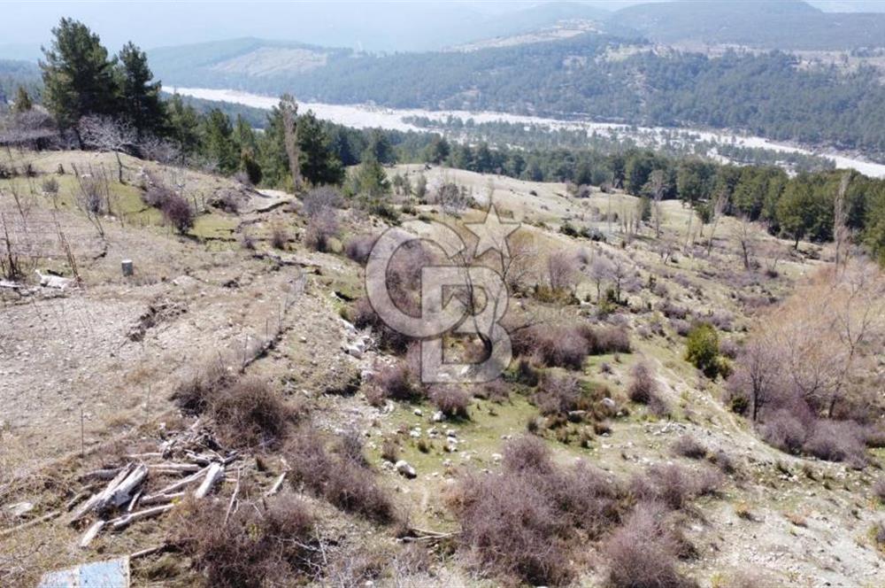 CB GİZ'DEN KAŞ YAYLA ÇAVDIR'DA SATILIK 3512 M2 TARLA