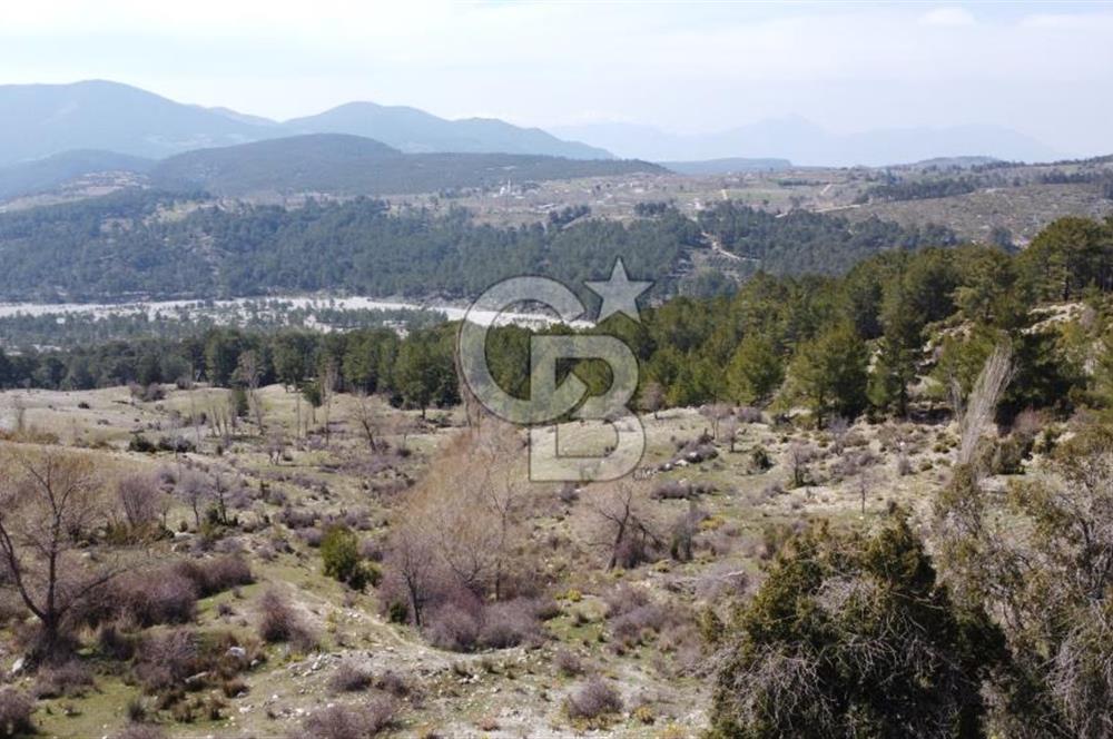 CB GİZ'DEN KAŞ YAYLA ÇAVDIR'DA SATILIK 3512 M2 TARLA