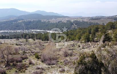 CB GİZ'DEN KAŞ YAYLA ÇAVDIR'DA SATILIK 3512 M2 TARLA