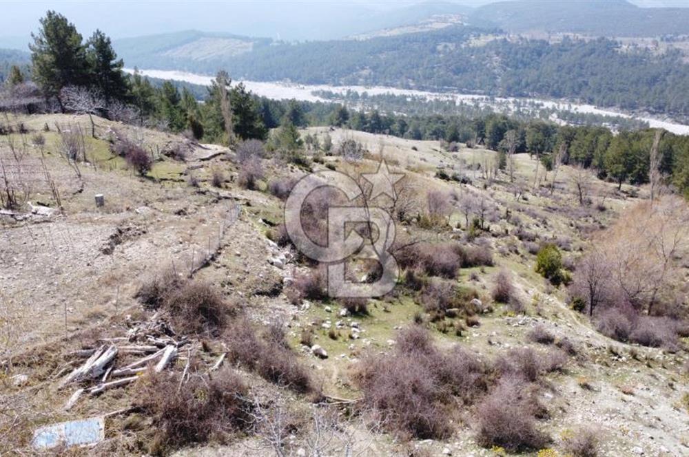 CB GİZ'DEN KAŞ YAYLA ÇAVDIR'DA SATILIK 3512 M2 TARLA