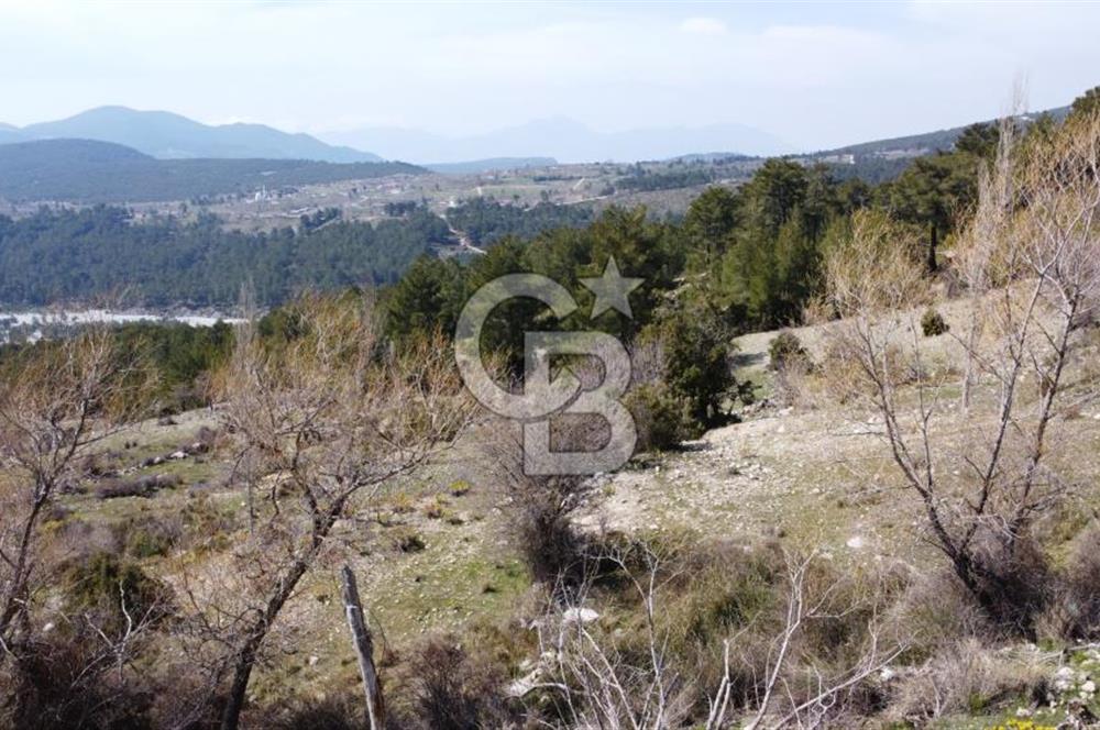 CB GİZ'DEN KAŞ YAYLA ÇAVDIR'DA SATILIK 3512 M2 TARLA