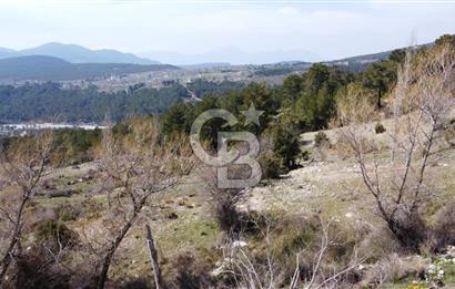 CB GİZ'DEN KAŞ YAYLA ÇAVDIR'DA SATILIK 3512 M2 TARLA