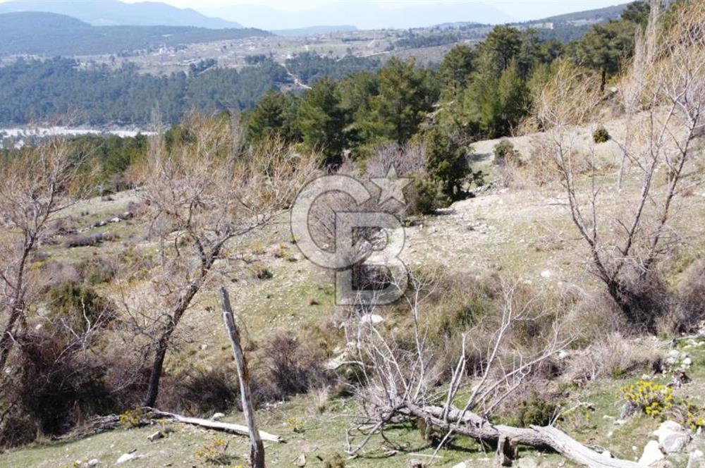 CB GİZ'DEN KAŞ YAYLA ÇAVDIR'DA SATILIK 3512 M2 TARLA