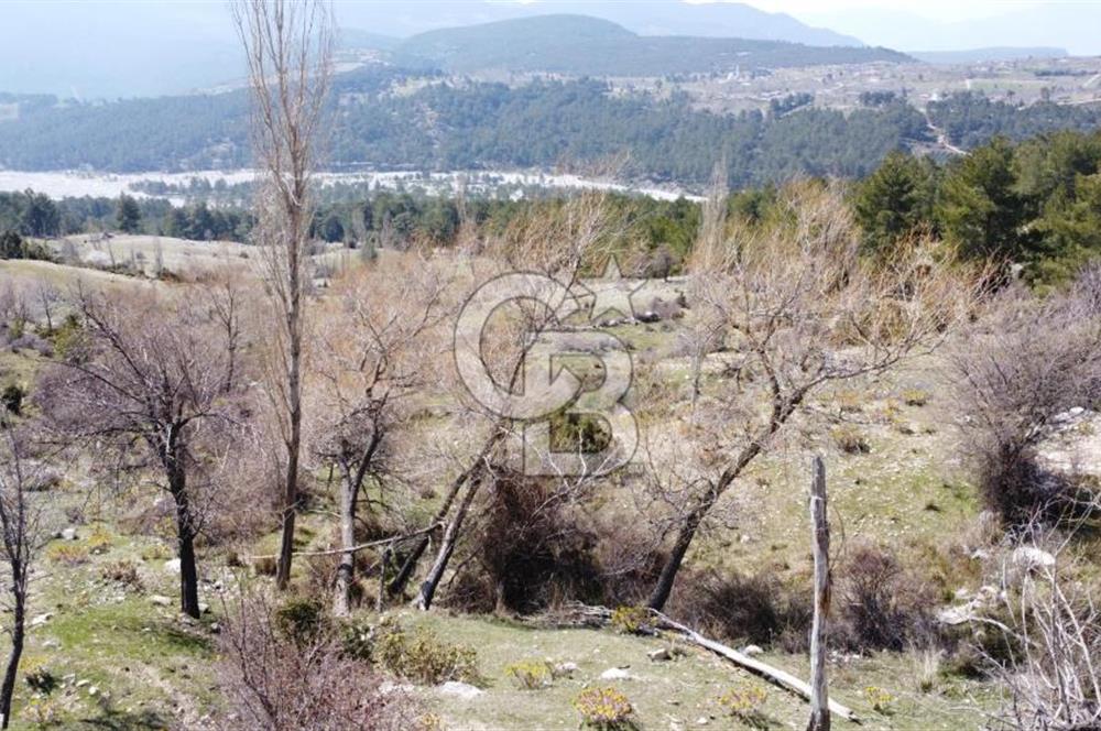 CB GİZ'DEN KAŞ YAYLA ÇAVDIR'DA SATILIK 3512 M2 TARLA