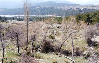 CB GİZ'DEN KAŞ YAYLA ÇAVDIR'DA SATILIK 3512 M2 TARLA