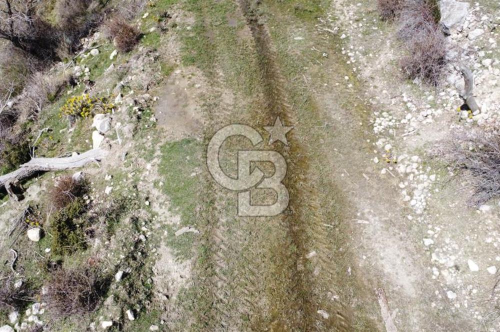 CB GİZ'DEN KAŞ YAYLA ÇAVDIR'DA SATILIK 3512 M2 TARLA