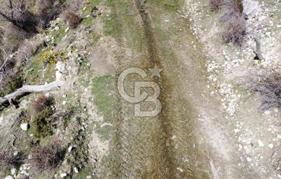 CB GİZ'DEN KAŞ YAYLA ÇAVDIR'DA SATILIK 3512 M2 TARLA