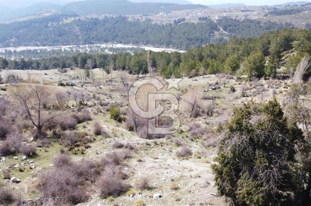 CB GİZ'DEN KAŞ YAYLA ÇAVDIR'DA SATILIK 3512 M2 TARLA