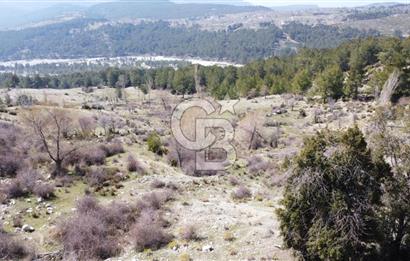CB GİZ'DEN KAŞ YAYLA ÇAVDIR'DA SATILIK 3512 M2 TARLA