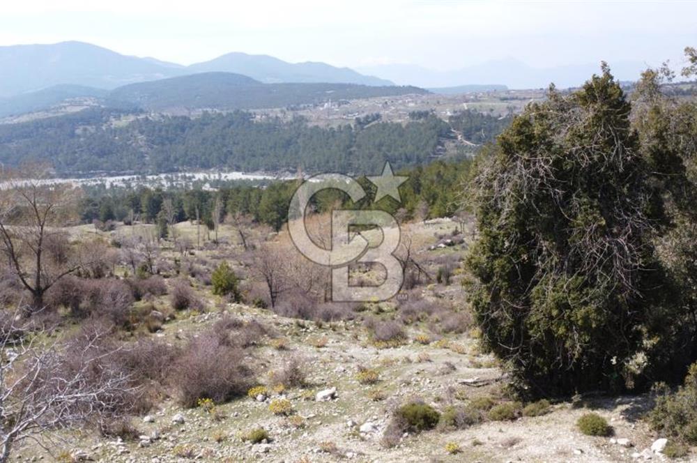 CB GİZ'DEN KAŞ YAYLA ÇAVDIR'DA SATILIK 3512 M2 TARLA
