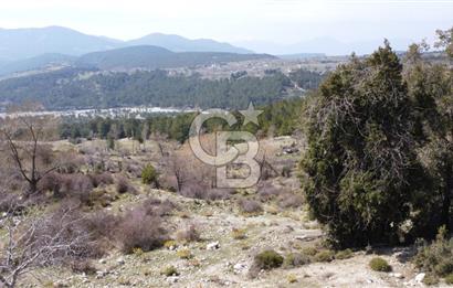 CB GİZ'DEN KAŞ YAYLA ÇAVDIR'DA SATILIK 3512 M2 TARLA