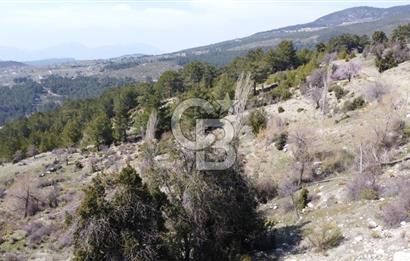CB GİZ'DEN KAŞ YAYLA ÇAVDIR'DA SATILIK 3512 M2 TARLA