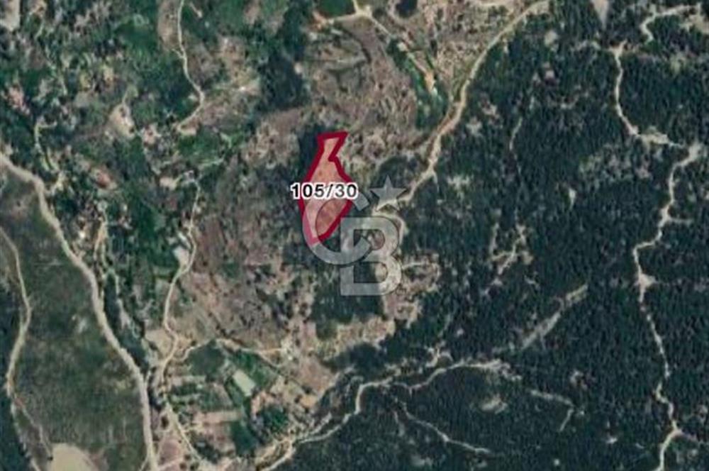 CB GİZ'DEN KAŞ YUVACIK'TA SATILIK TARLA